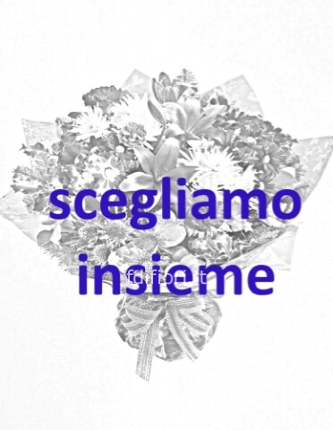 Omaggio da concordare a telefono al numero 051 877622 oppure al 348 3243607